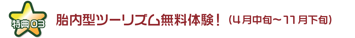 胎内型ツーリズム無料体験！（4月中旬〜11月下旬）