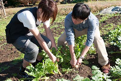 野菜ピザづくり